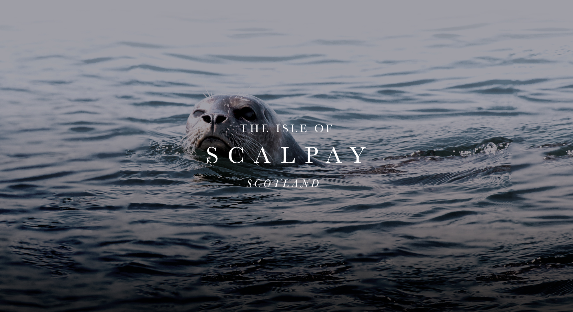 Isle of Scalpay Image
